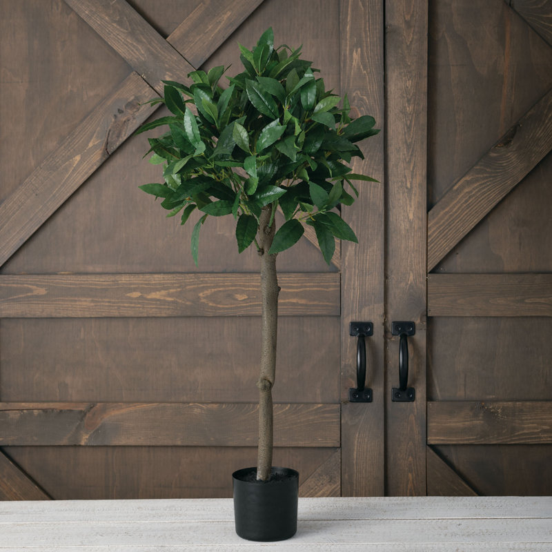 Primrue Artificial Bay Leaf Tree in Pot Wayfair.ca